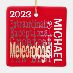 Adorno De Cerámica Personalizado Extraordinario del Meteorólogo