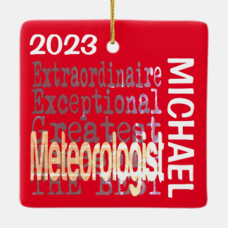 Adorno De Cerámica Personalizado Extraordinario del Meteorólogo