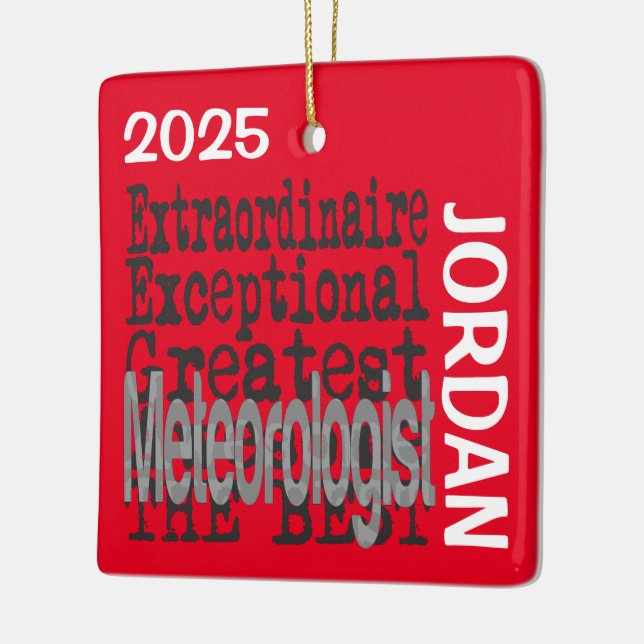 Adorno De Cerámica Personalizado Extraordinario del Meteorólogo (Izquierda)