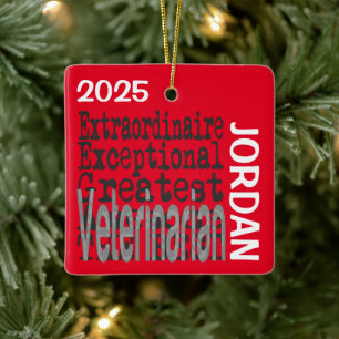 Adorno De Cerámica Personalizado Extraordinario Veterinario