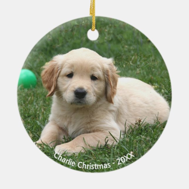 Adorno De Cerámica Personalizado Golden Retriever Puppy Photo (Atrás)