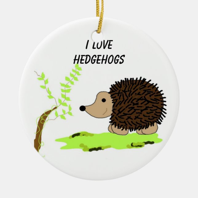 Adorno De Cerámica Personalizado Hedgehog (Frente)