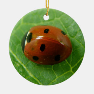 Adorno De Cerámica Personalizado Ladybug Cumpleaños