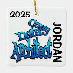 Adorno De Cerámica Personalizado Loco de Data Architect