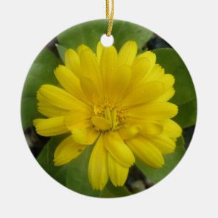Adorno De Cerámica Personalizado Marigold Amarillo Brillante Cumpleañ