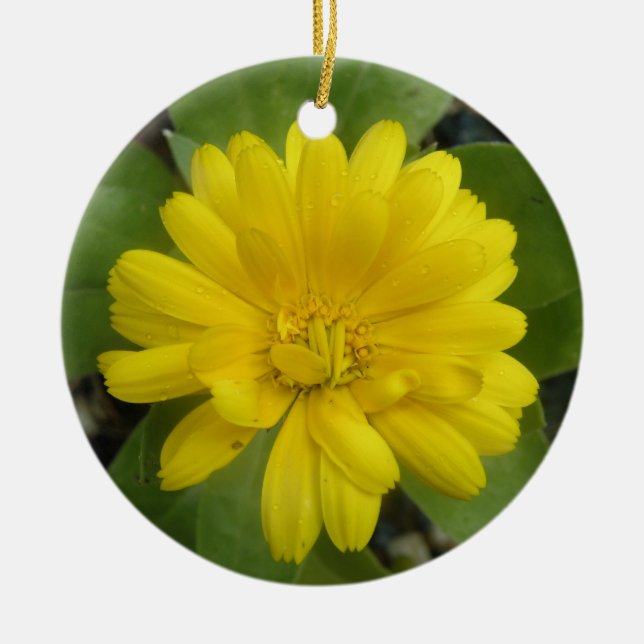 Adorno De Cerámica Personalizado Marigold Amarillo Brillante Cumpleañ (Frente)