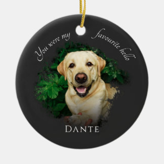 Adorno De Cerámica Personalizado Mascota Memorial Photography Grey