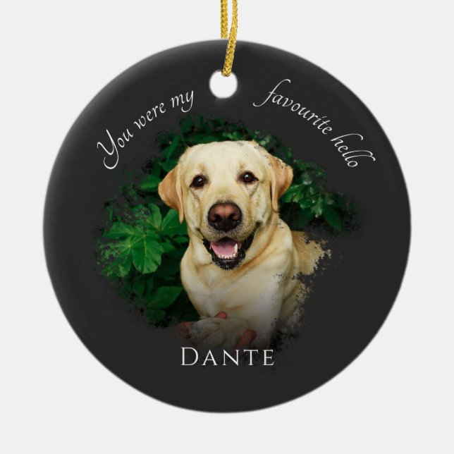 Adorno De Cerámica Personalizado Mascota Memorial Photography Grey (Frente)