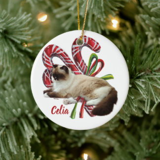 Adorno de cerámica personalizado para mascotas