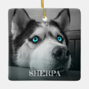 Adorno De Cerámica Personalizado Perro 2 Fotos Personalizadas