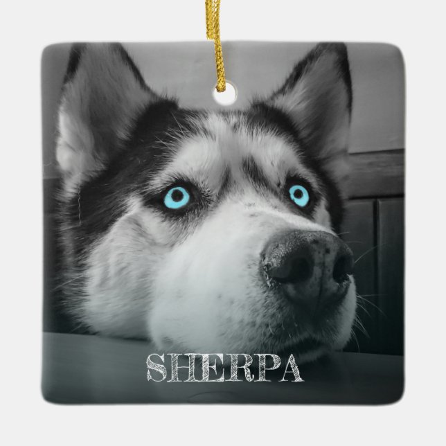 Adorno De Cerámica Personalizado Perro 2 Fotos Personalizadas (Anverso)