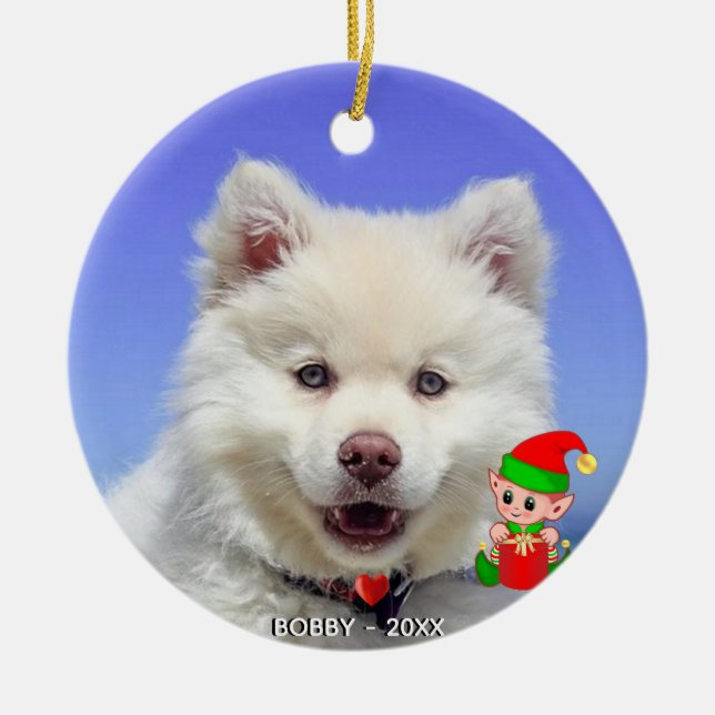 Adorno De Cerámica Personalizado Samoyed Dog Photo con Cute Elf (Frente)