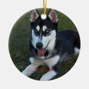 Adorno De Cerámica Personalize Siberian Husky puppy