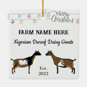 Adorno De Cerámica Personalized Nigerian Dwarf Goat White Christmas