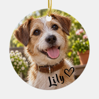 Adorno De Cerámica Personalized Pet Photo Acrylic