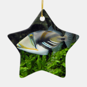 Adorno De Cerámica Pescados de mar profundo