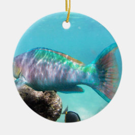 Adorno De Cerámica Pescados del loro de Hawaii