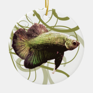 Adorno De Cerámica Pescados que luchan siameses de Betta de la media