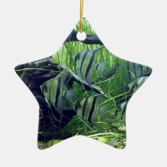 Adorno De Cerámica Pescados rayados del acuario (Frente)