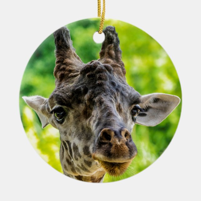 Adorno De Cerámica Pestañas de la jirafa (Frente)