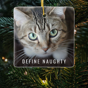 Adorno De Cerámica Pet Define Travieso Foto Árbol de Navidad
