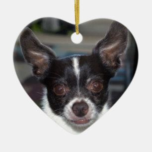 Adorno De Cerámica Petey la chihuahua