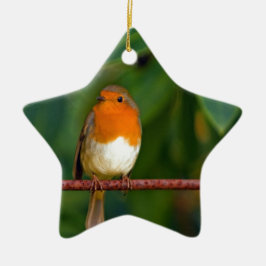 Adorno De Cerámica Petirrojo de Navidad