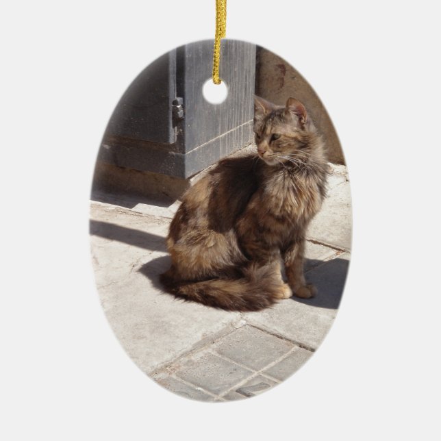 Adorno De Cerámica Petra, un gato persa de larga duración (Frente)