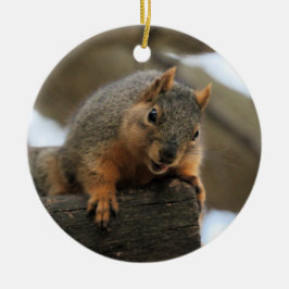 Adorno De Cerámica Pfft