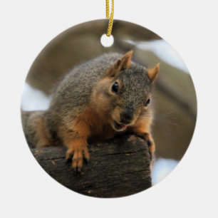 Adorno De Cerámica Pfft