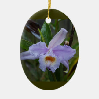 Adorno De Cerámica Photos