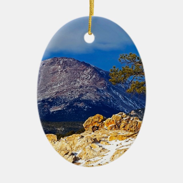 Adorno De Cerámica Pico y árbol solitario (Frente)