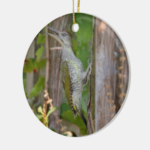 Adorno De Cerámica Picus Viridis - Grünspecht