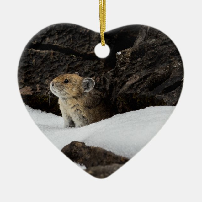 Adorno De Cerámica Pika americana en la nieve con cerámica en forma d (Frente)