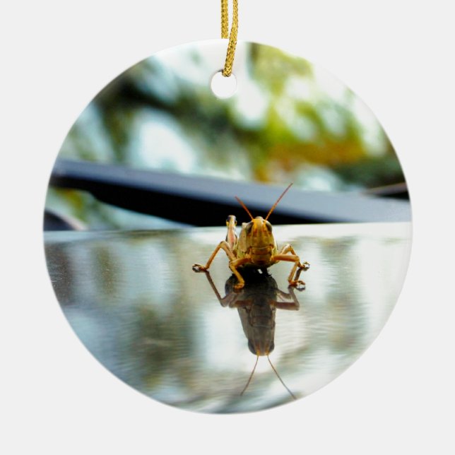 Adorno De Cerámica pilar del saltamontes (Frente)