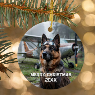 Adorno De Cerámica Piloto de Perro Avión Foto Divertida de Aviación N