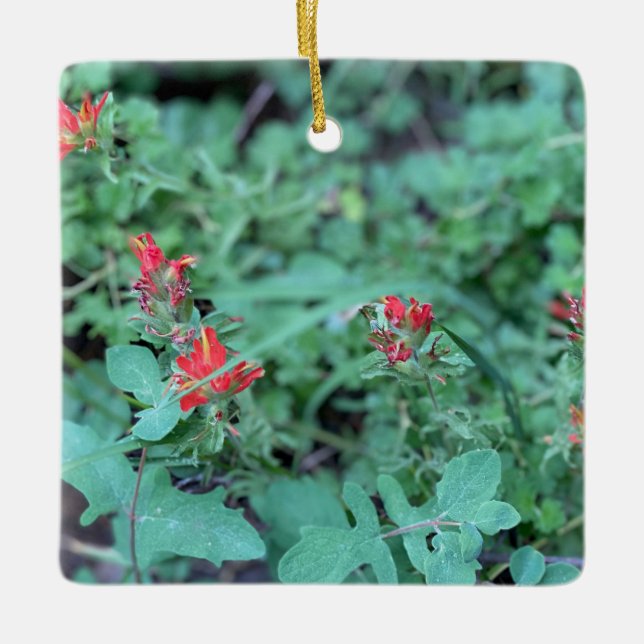 Adorno De Cerámica Pincel indio (Anverso)