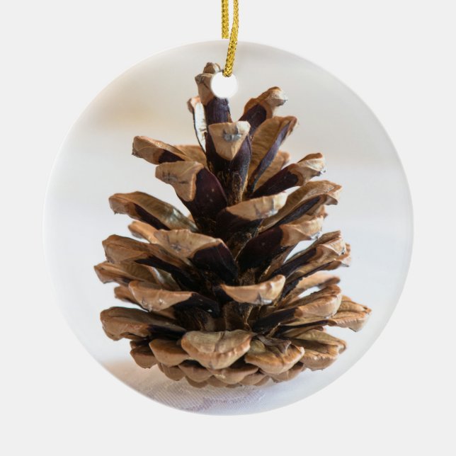 Adorno De Cerámica Pinecona (Frente)