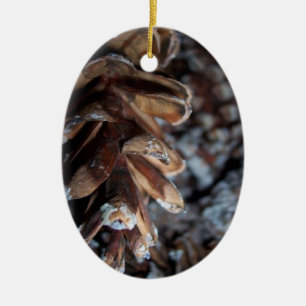 Adorno De Cerámica Pinecona
