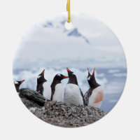 Pingüinos en la Antártida