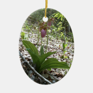 Adorno De Cerámica Pink lady slipper Orchid