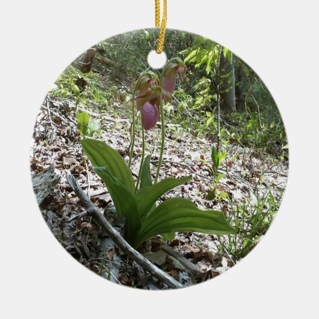 Adorno De Cerámica Pink lady slipper Orchid (Frente)