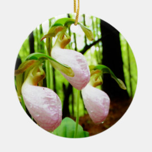 Adorno De Cerámica Pink Lady Slipper Wild Orchid