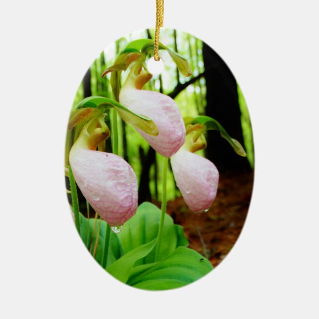 Adorno De Cerámica Pink Lady Slipper Wild Orchid (Frente)