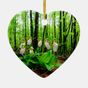 Adorno De Cerámica Pink Lady Slipper Wild Orchid