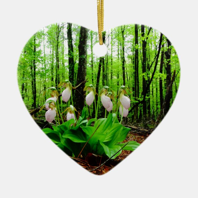 Adorno De Cerámica Pink Lady Slipper Wild Orchid (Frente)