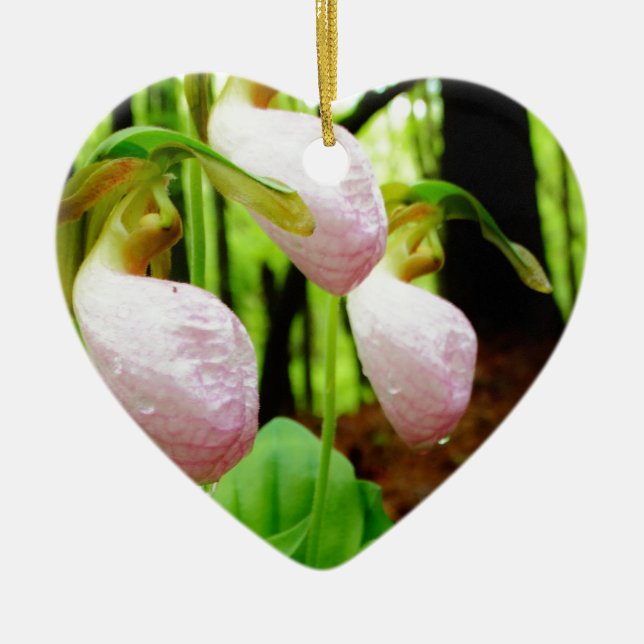 Adorno De Cerámica Pink Lady Slipper Wild Orchid (Frente)