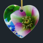 Adorno De Cerámica Pink Lenten Rose blue glass ball<br><div class="desc">Pink Lenten Rose Photo by Sandy Closs Hellebore,  "lenen Rose", , flowers,  orientalis,  Flower,  "Formal Garden",  Winter,  "Ornamental Garden",  Close-up,  Red,  Spring,  Isolated,  Perennial,  Macro,  Green,  Dark,  Backgrounds,  Frame,  Stamen,  Pollen</div>