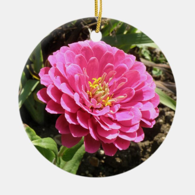 Adorno De Cerámica Pink Zinnia Personalizado Cumpleaños (Frente)