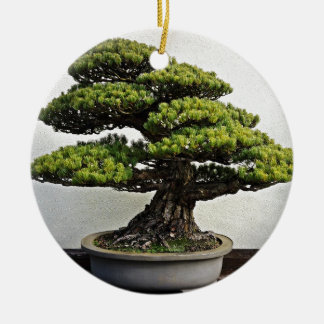 Adorno De Cerámica Pino blanco japonés Bonsai